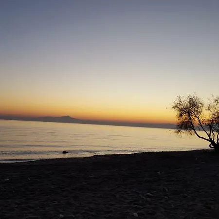 Дача Возле Моря Paralia Dionysiou